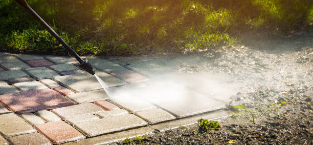 Solar Panel Cleaning in Absecon Highlands, NJ